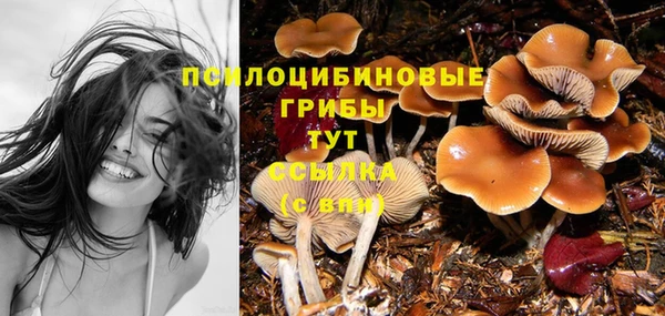 меф Белоозёрский