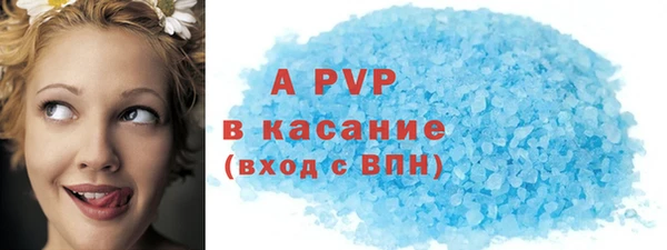шишки Беломорск