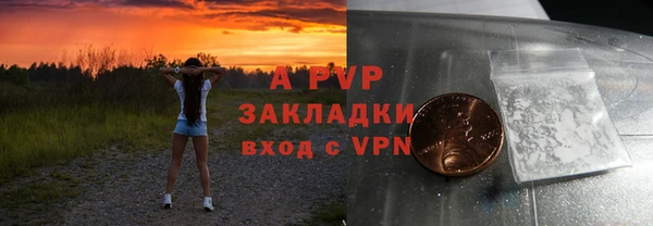 шишки Беломорск