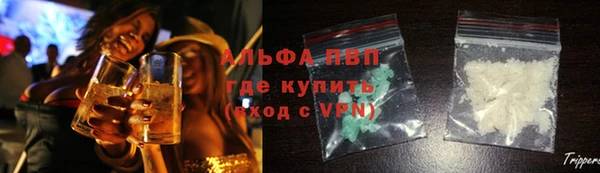 шишки Беломорск