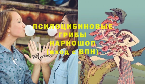 бутират Белокуриха