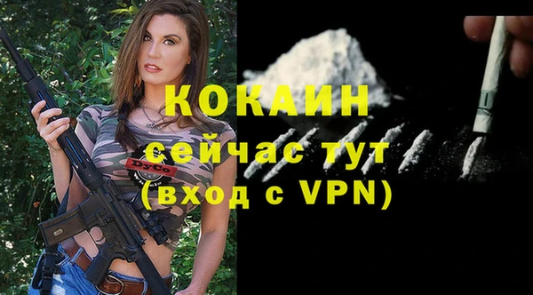 шишки Беломорск