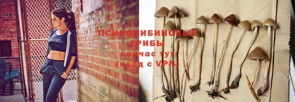 бутират Белокуриха