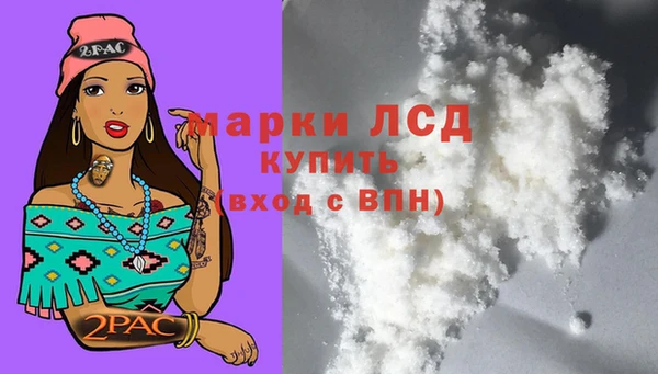 шишки Беломорск