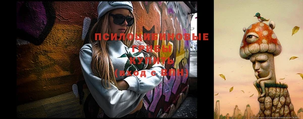 шишки Беломорск