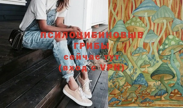 шишки Беломорск