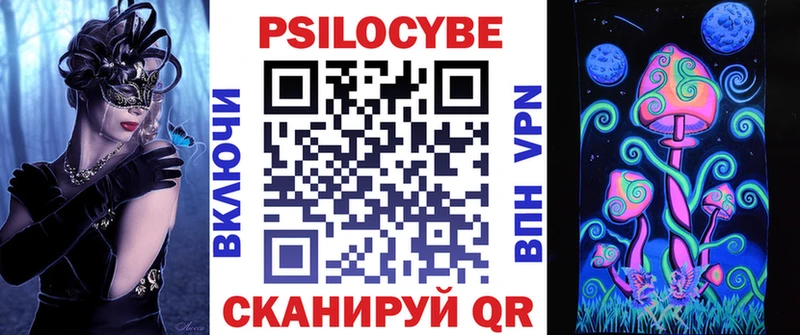 shop клад  Павловск  Псилоцибиновые грибы Cubensis  кракен tor 