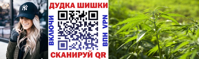 Бошки марихуана MAZAR  как найти закладки  Павловск 